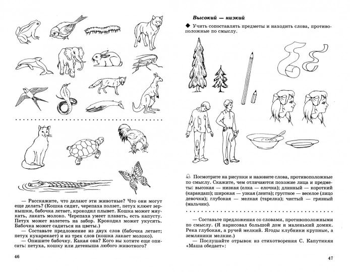 Развитие речи и творчества дошкольников