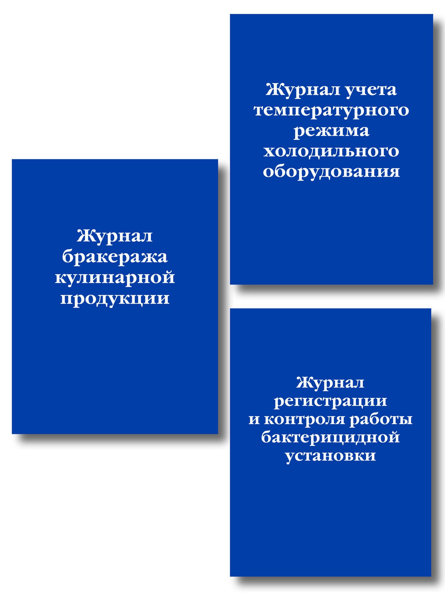 Комплект из 3-х книг: Журналы для учреждений общественного питания (ИК)