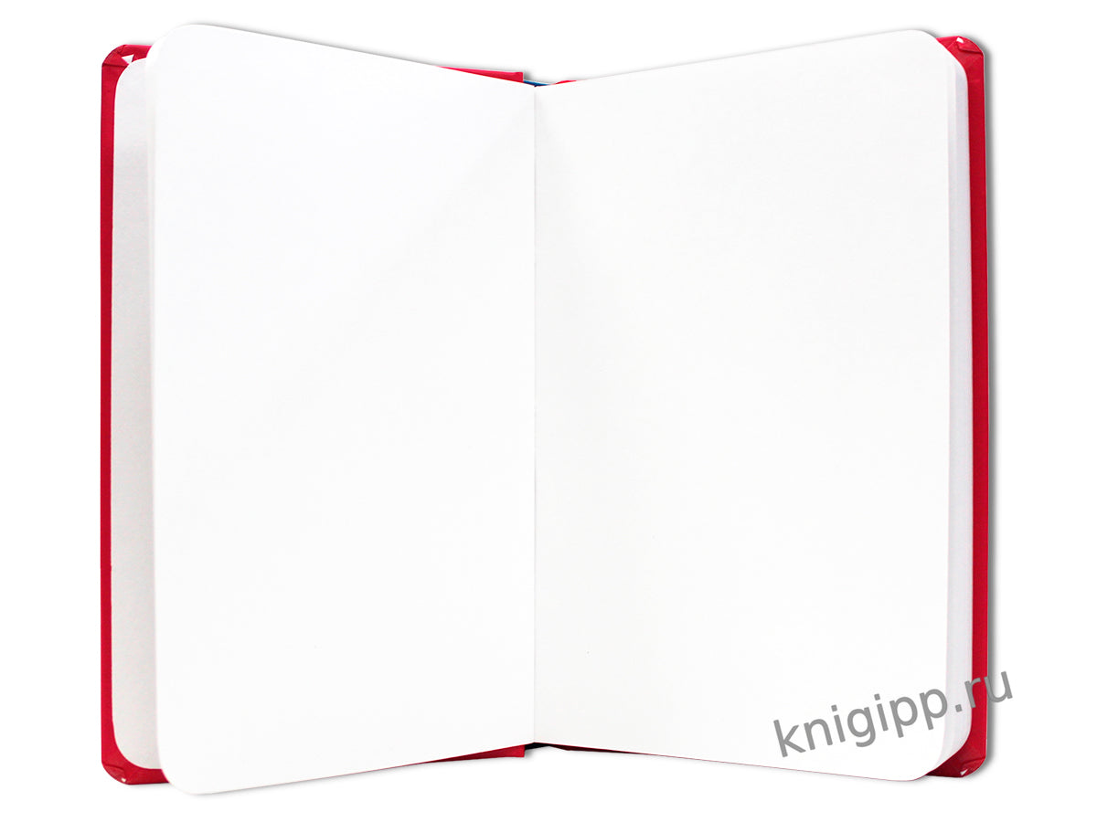 MyArt. СКЕТЧБУК "Wonderland sketchbook" АЛИСА С ФЛАМИНГО