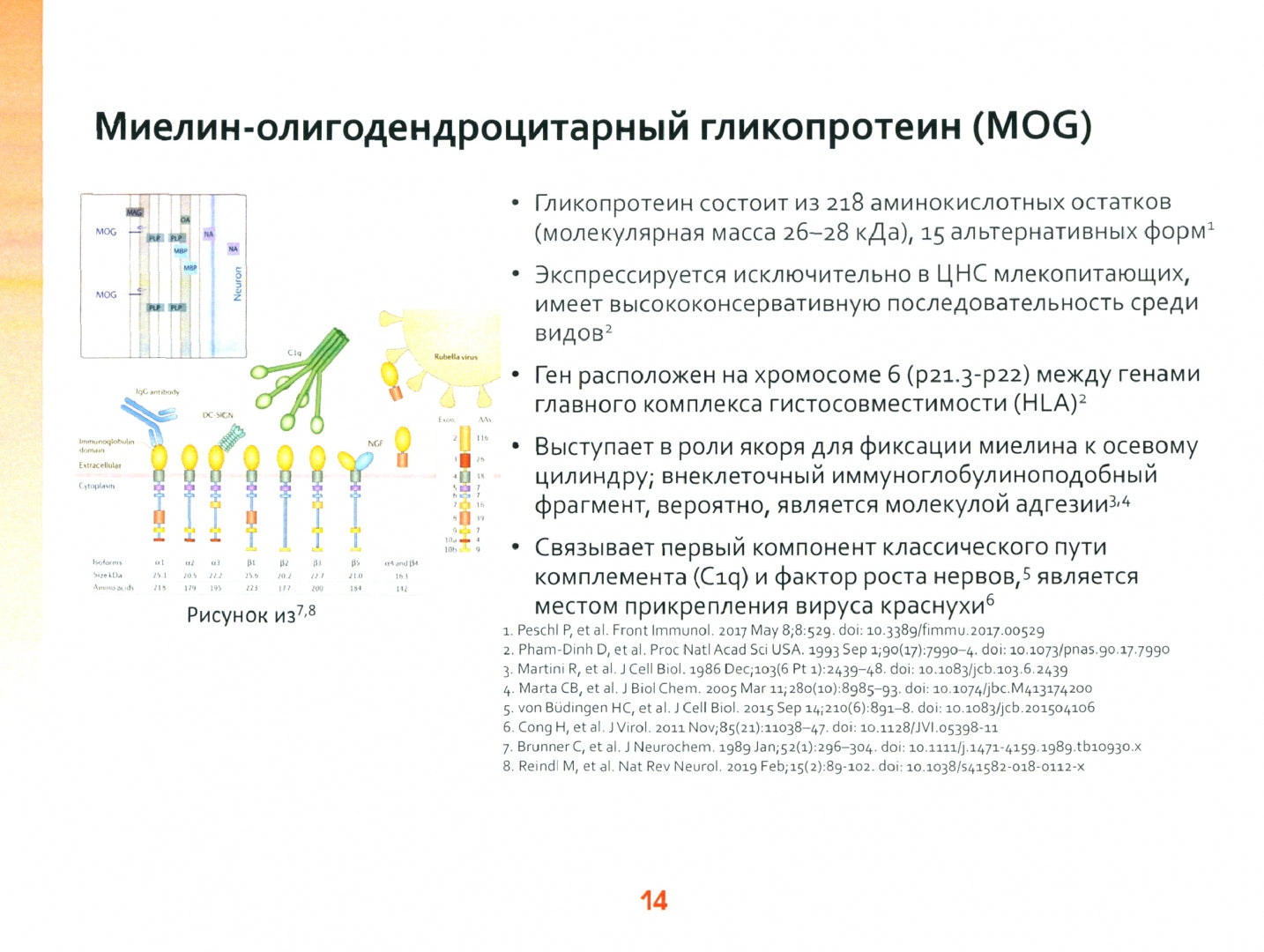 Оптиконевромиелит в фокусе. Практическое руководство в схемах и таблицах