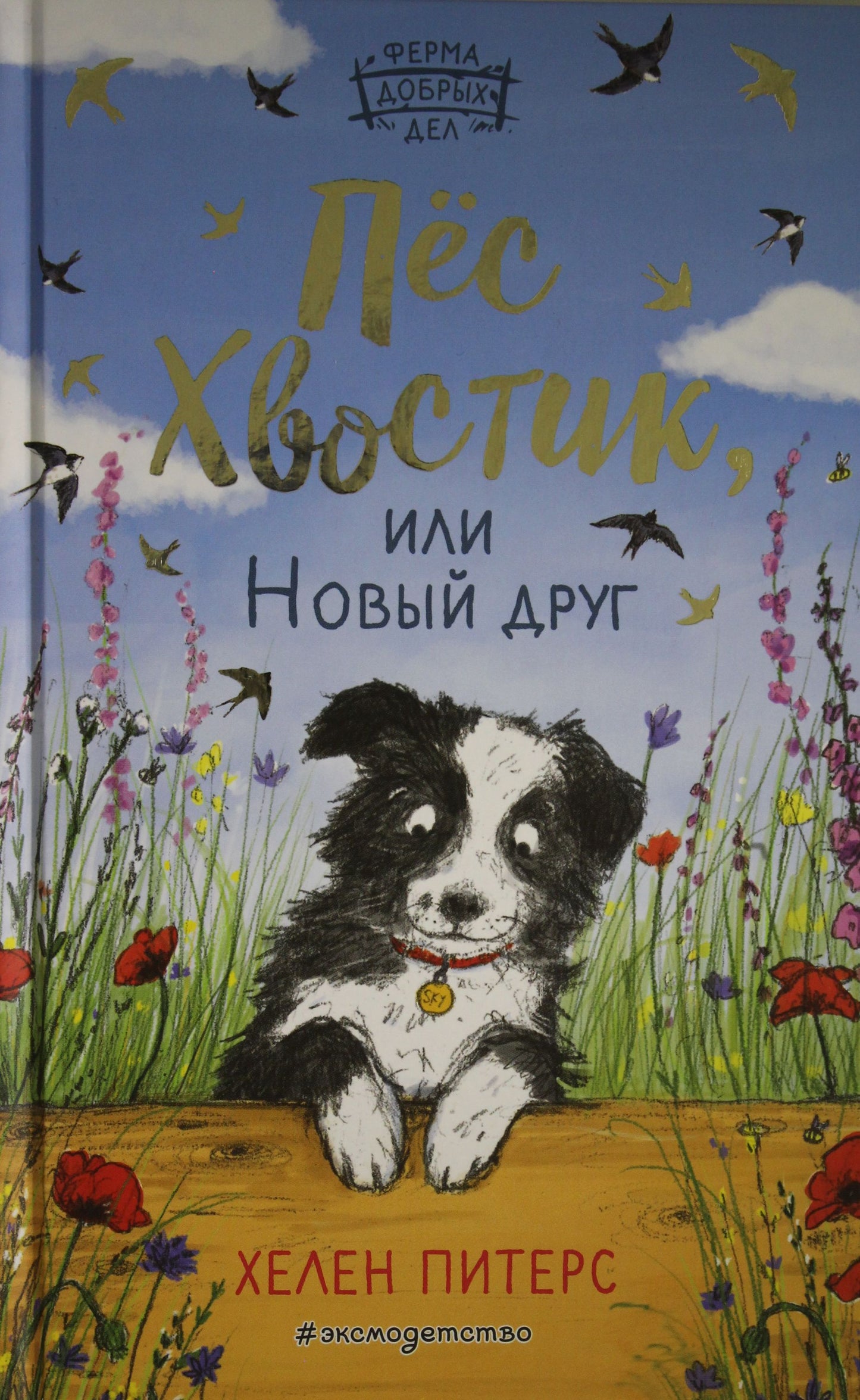 Пес Хвостик, или Новый друг (#3)