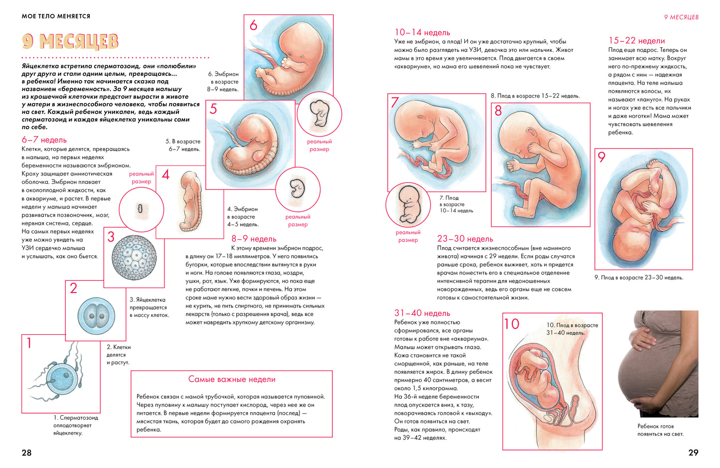 Mon téléphone est le suivant : qu'est-ce qui est chaud pour les podros et qui sont ceux qui gèrent les robots