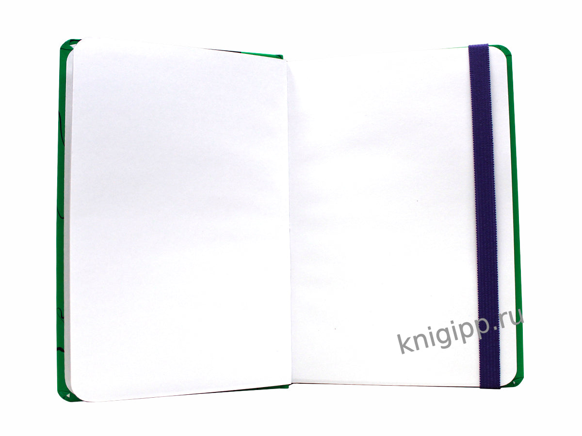 MyArt. Alter Ego СКЕТЧБУК. Настроение Зелёное