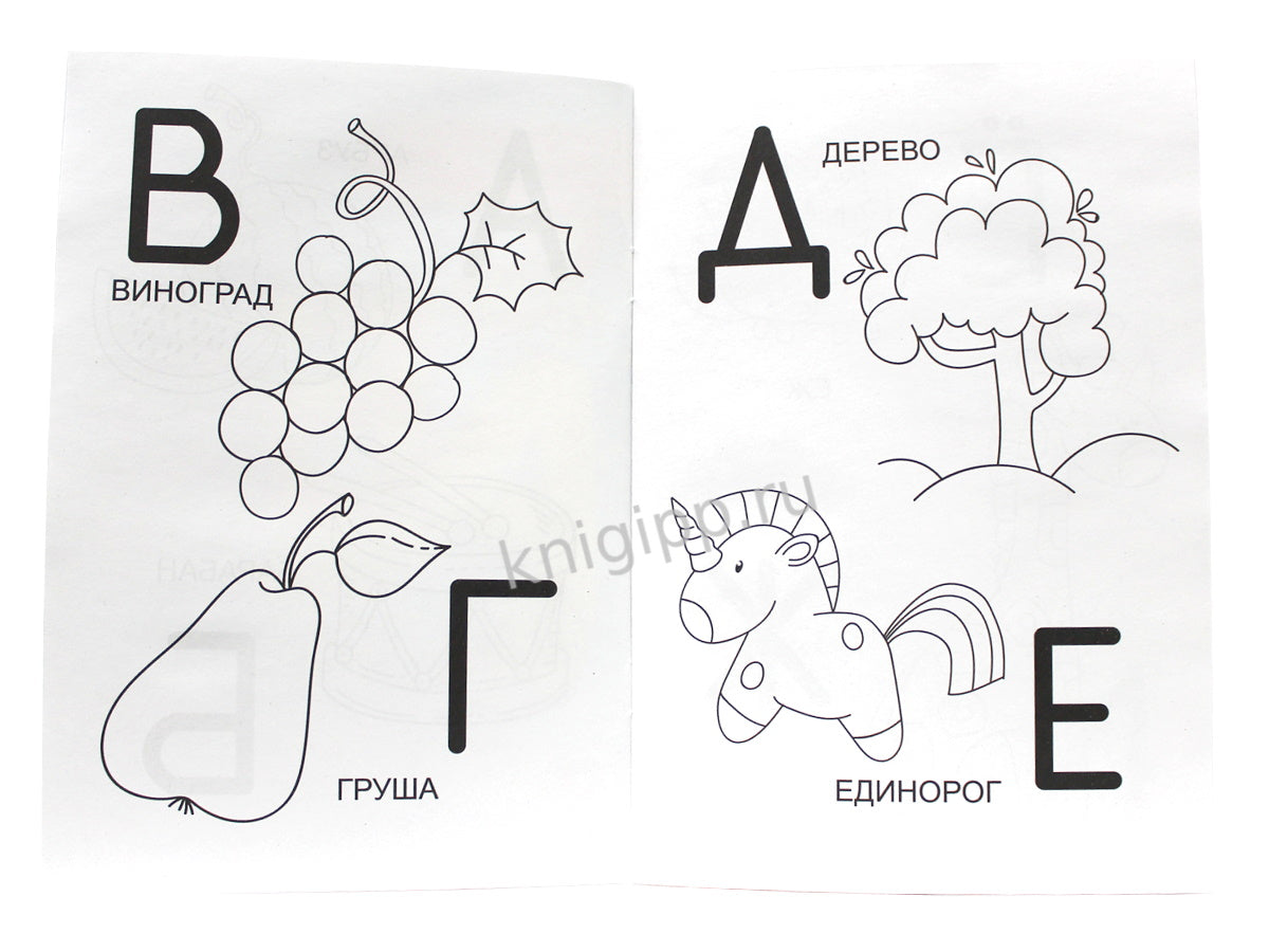 РАСКРАСКА А5 эконом. АЗБУКА