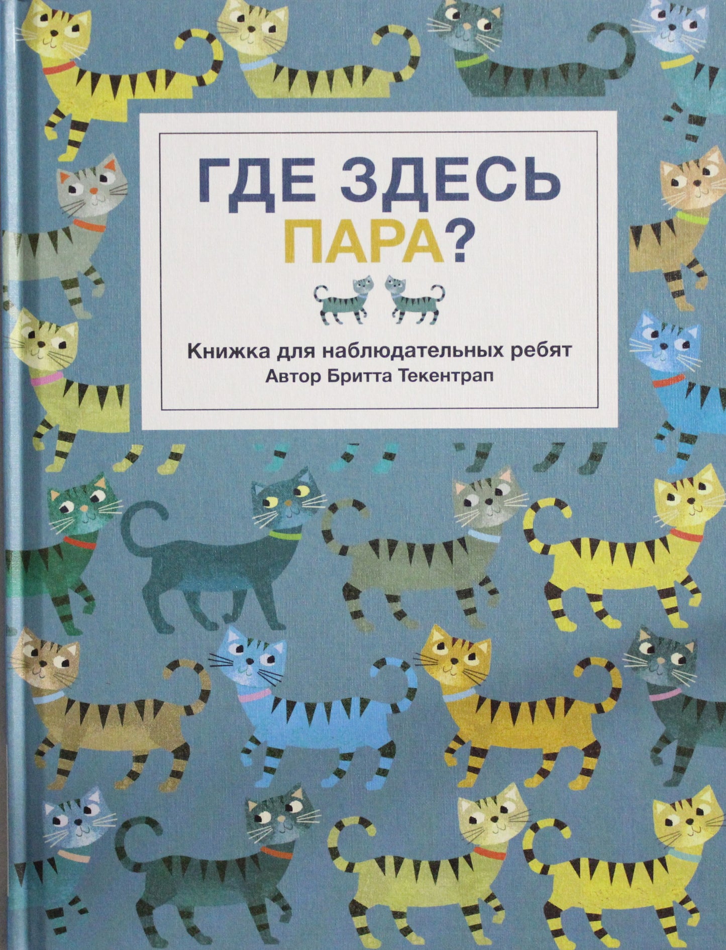 Где здесь пара? Книжка для наблюдательных ребят