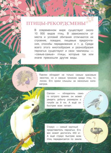 Познавательные наклейки. Птицы