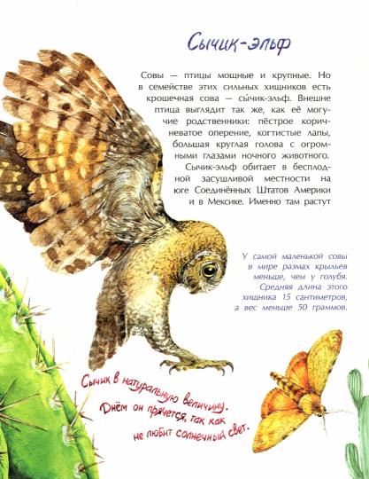 Птички-невелички. Кто на свете меньше всех?