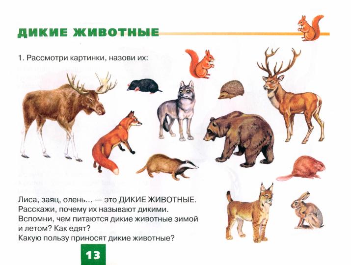 Дидакт.матер. ЖИВОТНЫЕ для развития детей 5-7 лет