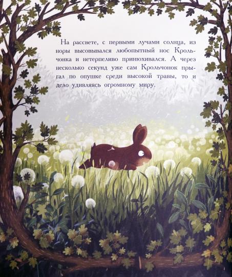 Вехтерович. Друзья навсегда. ДХЛ