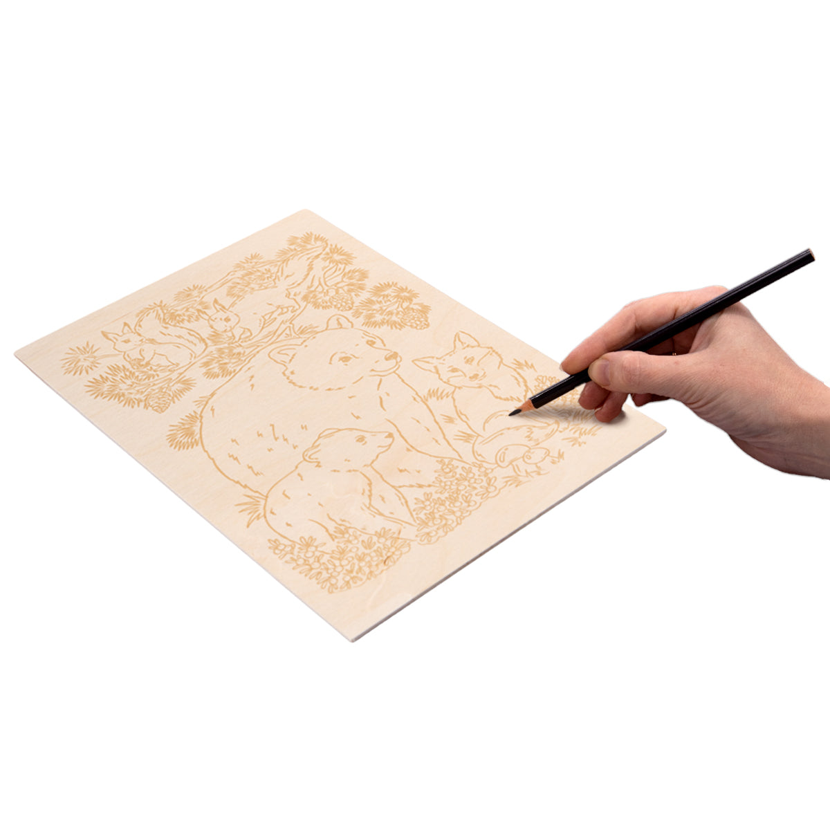 Выжигание. Дощечка для выжигания и росписи 1 шт "В лесу" А4 (conversion)