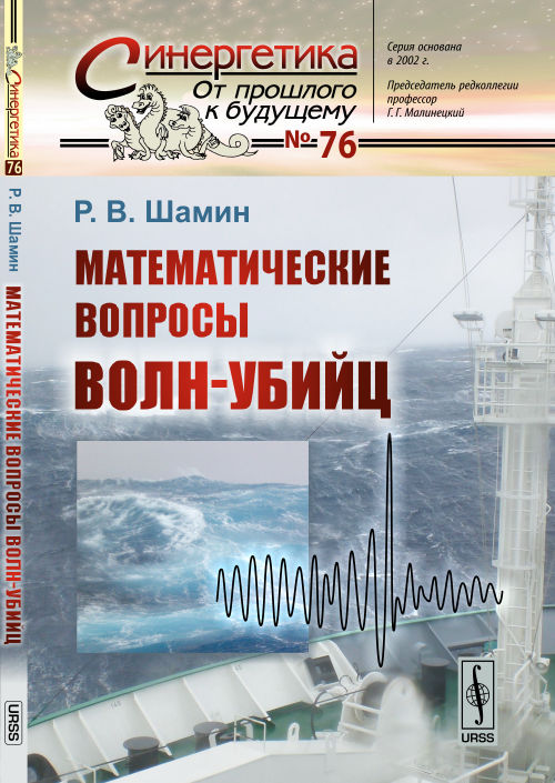 Математические вопросы волн-убийц