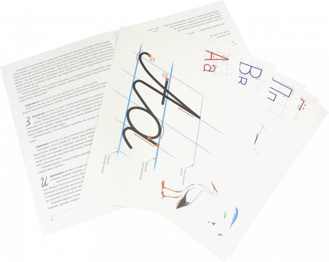 Учимся каллиграфии. Образцы написания РУССКИХ БУКВ (32 картинки А4 в картонной папке с методическими рекомендациями)