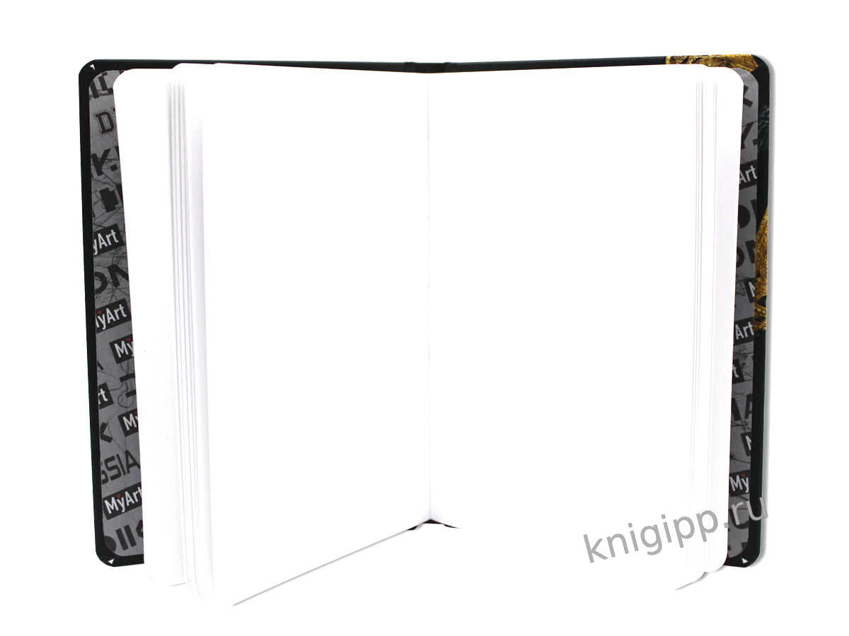 MyArt. СКЕТЧБУК "ДНК" МОНА ЛИЗА