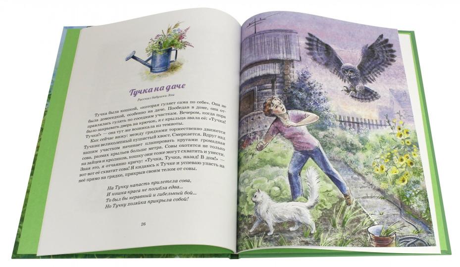 Эля и Медведь