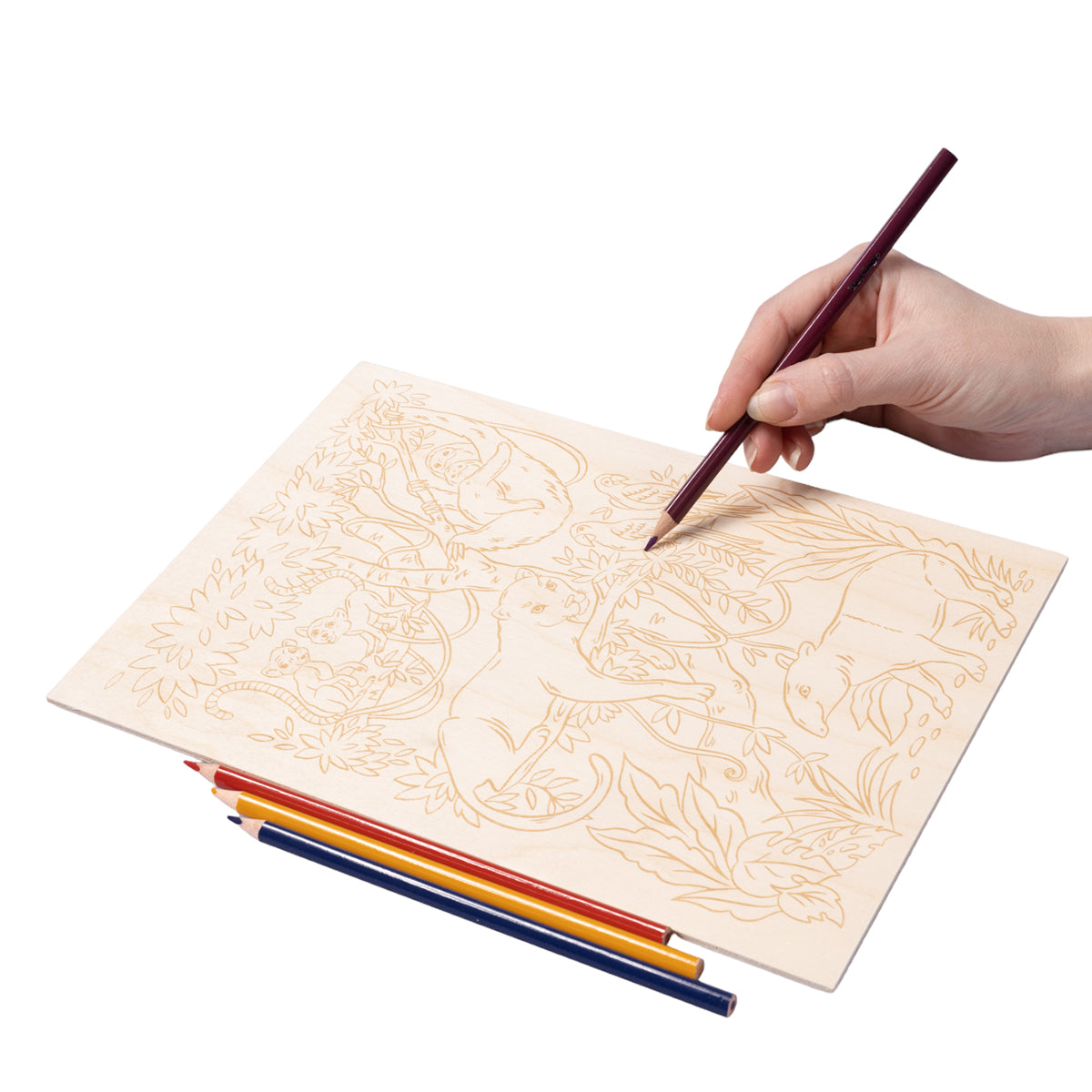 Выжигание. Доска для выжигания 1 шт "Животные джунглей" А4 (европодвес)