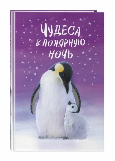 Чудеса в полярную ночь