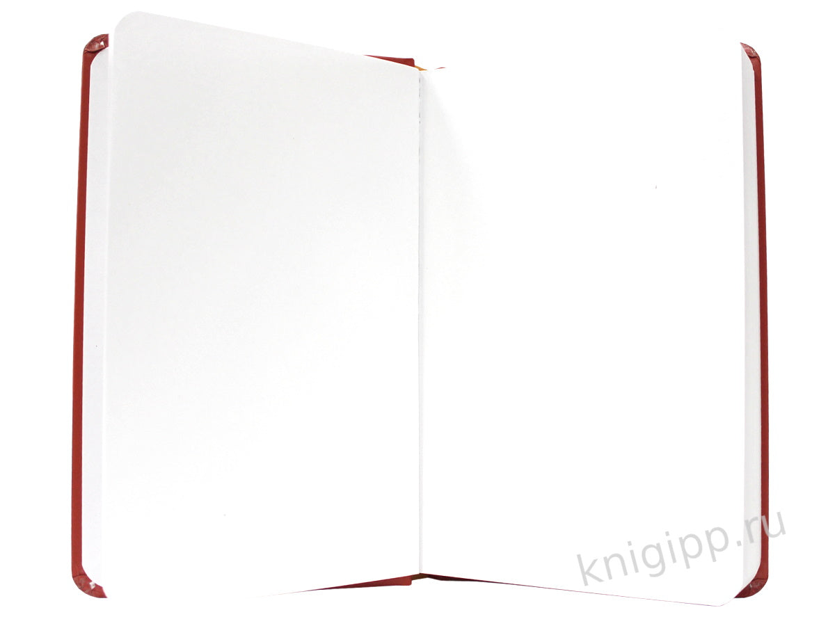 MyArt. СКЕТЧБУК "Wonderland sketchbook" КРОЛИК