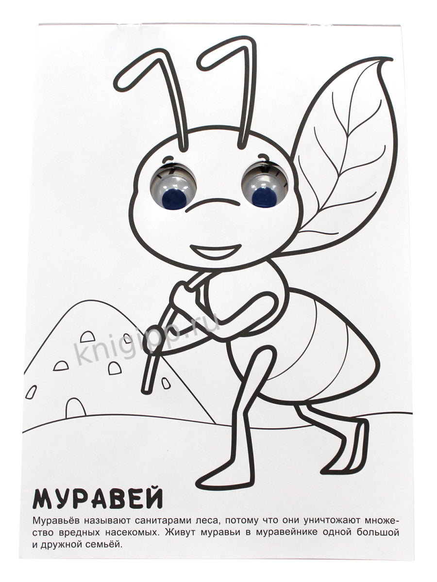 РАСКРАСКА А4 с глазками 22мм. ПРО БУКАШЕК
