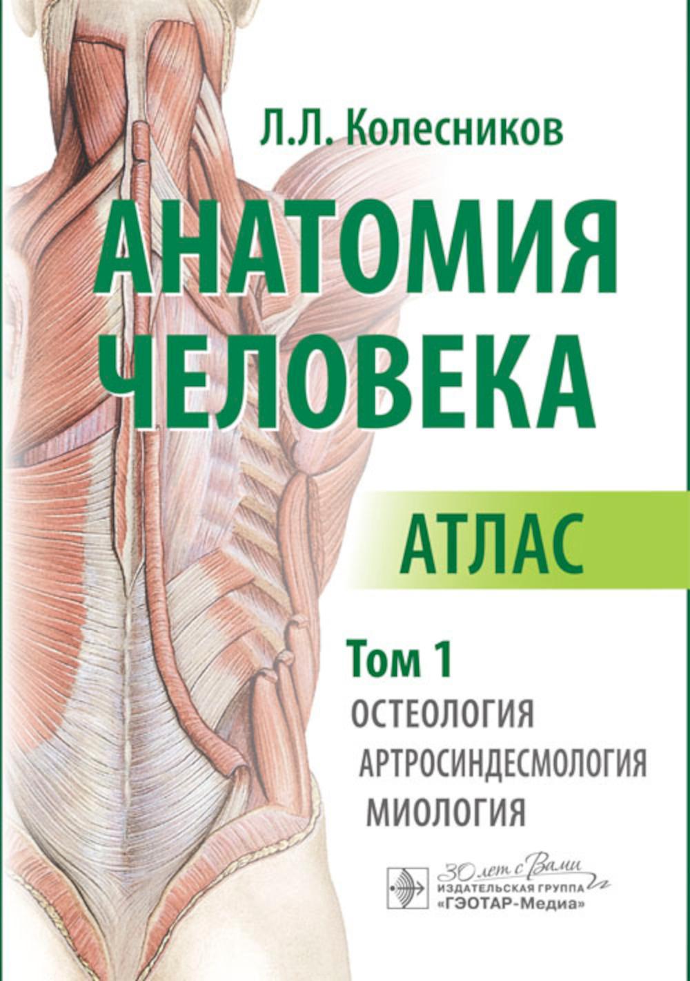 Анатомия человека : атлас : в 3 т. Т. 1. Остеология, артросиндесмология, миология / автор-составитель Л. Л. Колесников. — Москва : ГЭОТАР-Медиа, 2024. — 480 с. : ил.
