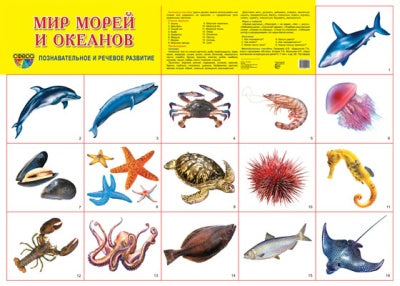 Демонстрационный плакат. Мир морей и океанов. (формат А2).