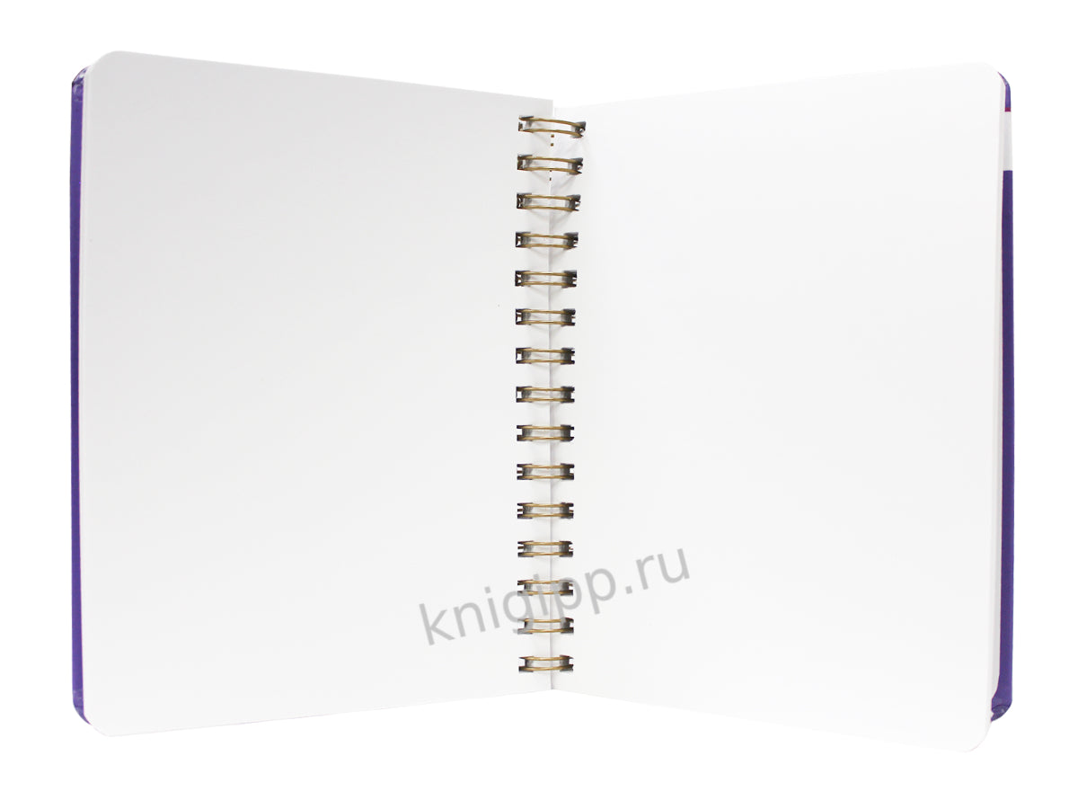 MyArt. АНИМЕ СКЕТЧБУК на гребне. Фанатка мишек