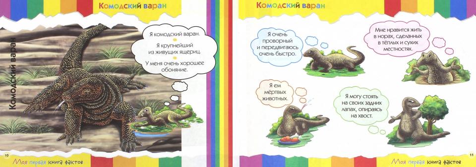 Моя первая книга фактов. Рептилии и амфибии