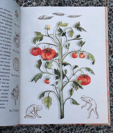 Пособие по разведению ангелов