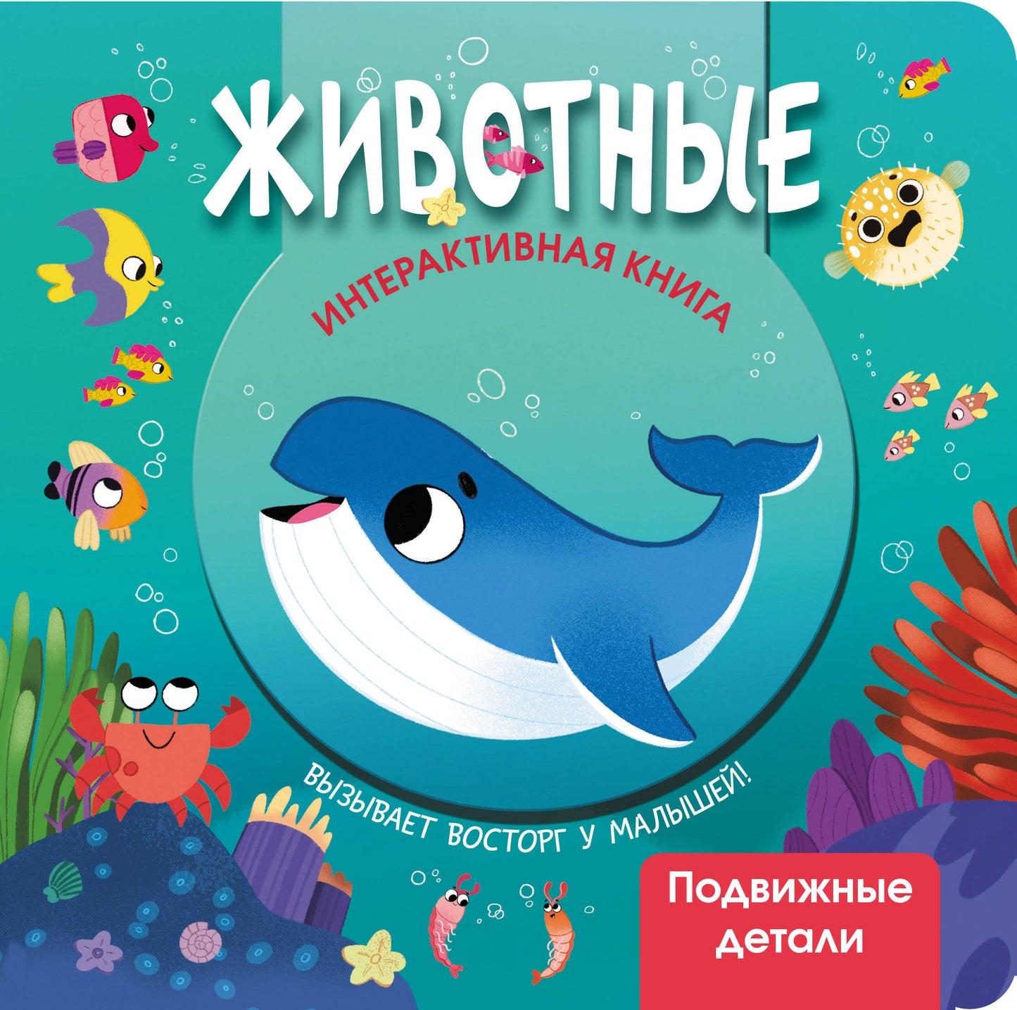 Животные