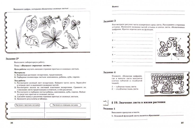 Биология. 6 класс. Рабочая тетрадь (комплект в 2 частях)