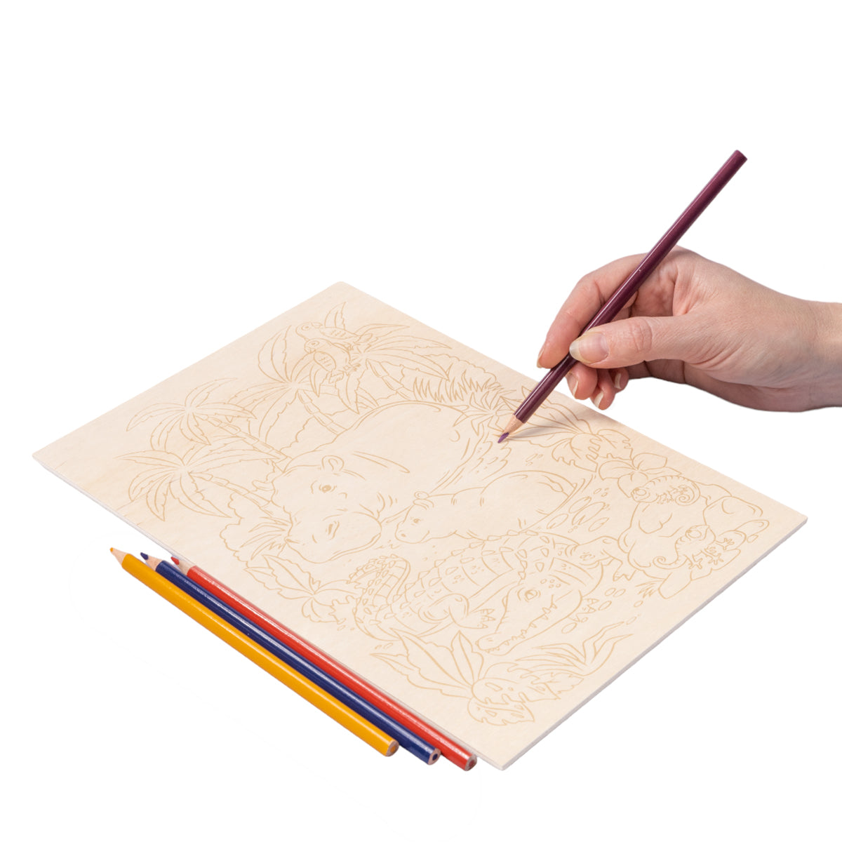 Выжигание. Dossier pour la navigation 1 partie "Оbitateli водоема" А4 (европодвес)