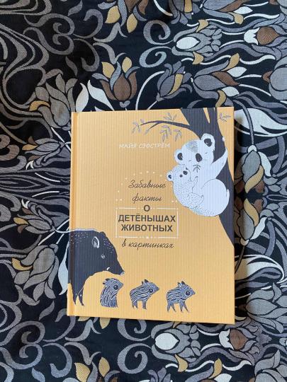 Забавные факты о детенышах животных в картинках