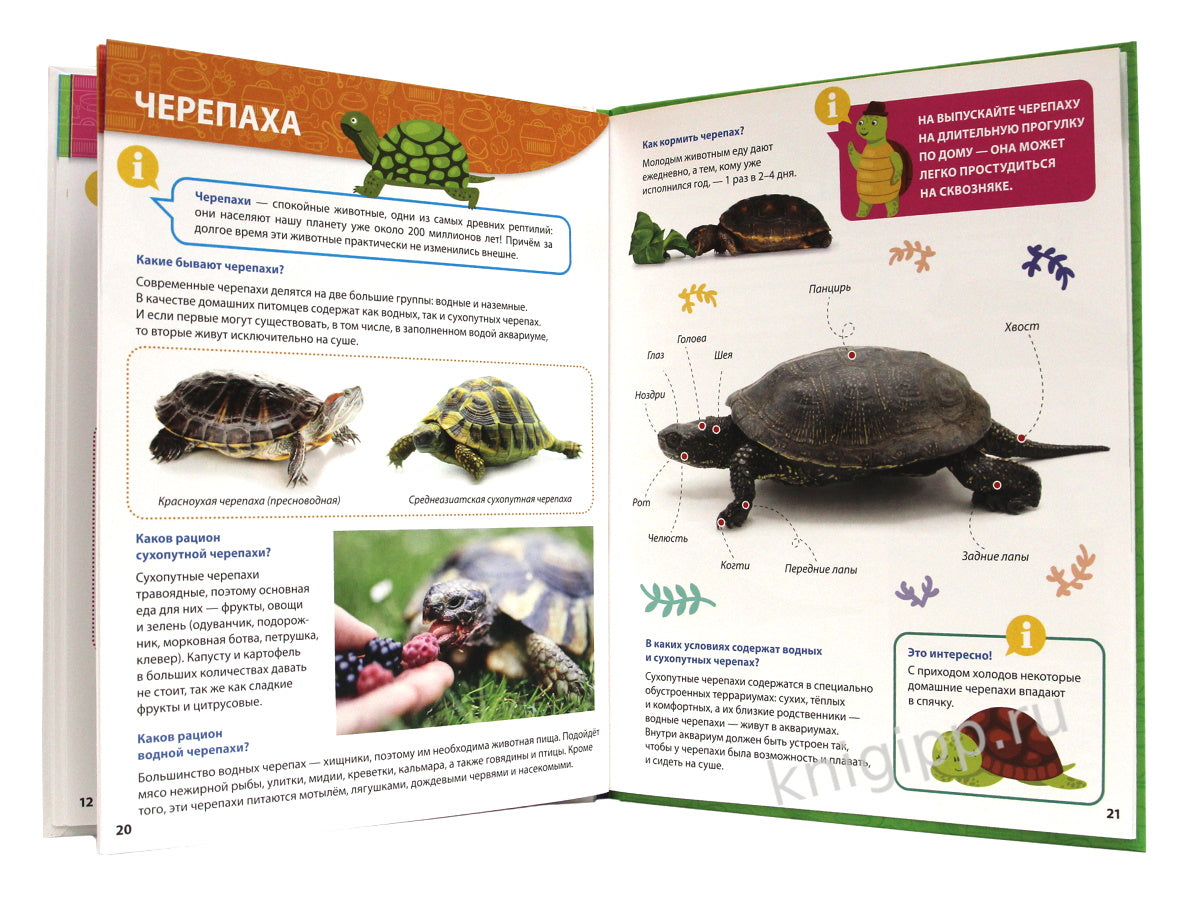 ПЕРВАЯ ДЕТСКАЯ ЭНЦИКЛОПЕДИЯ. ВСЁ О ДОМАШНИХ ПИТОМЦАХ МАЛЫШАМ