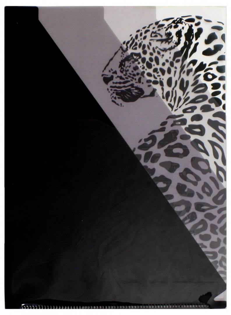 Папка-уголок д/документов А4,ЛЕОПАРД,3отдел,47023