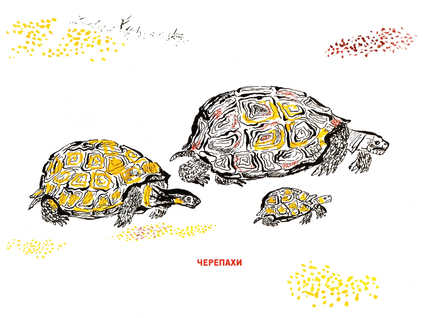 Рисуем зверей.Уроки Никиты Чарушина