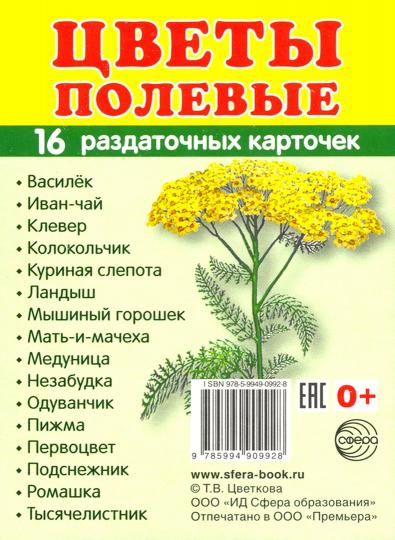 Раздаточные карточки "Цветы полевые" (63х87мм)