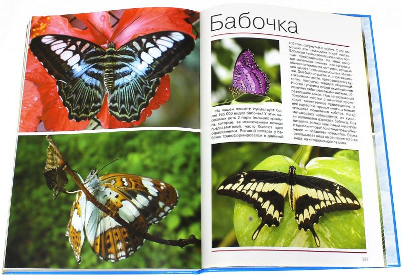 Мир животных. Открой для себя удивительный мир жив