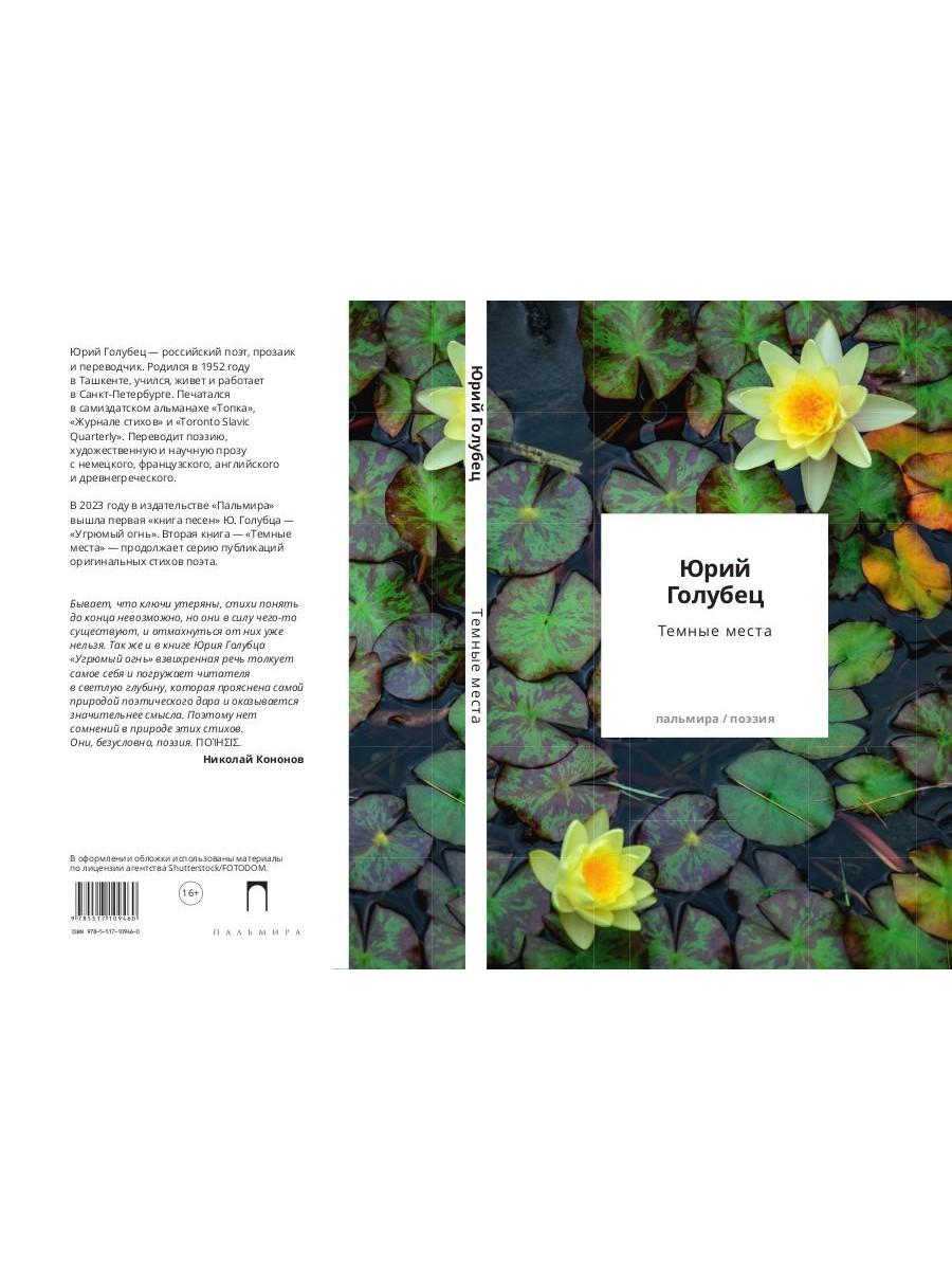Темные места. Вторая книга песен