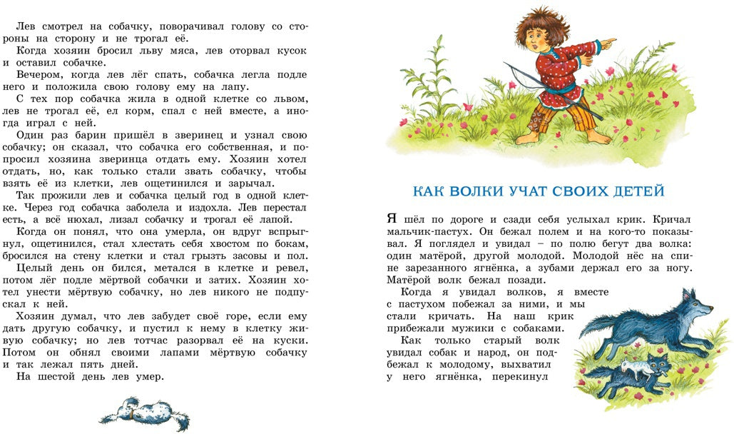Рассказы и сказки