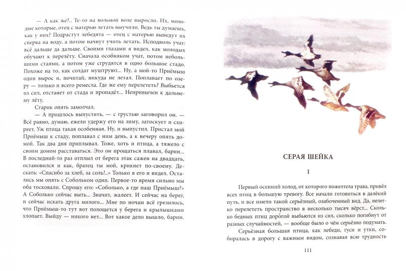 Рассказы и сказки