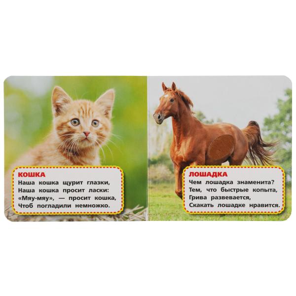 Любимые жив-ные Степанов В.А. (карт. книга 3 разв. с 4 тактил. эл-тами) 120х120мм Умка в кор.4*36шт