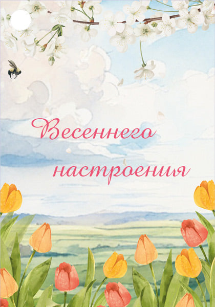 Б-15867 Birka. 8 mars. Весеннего настроения