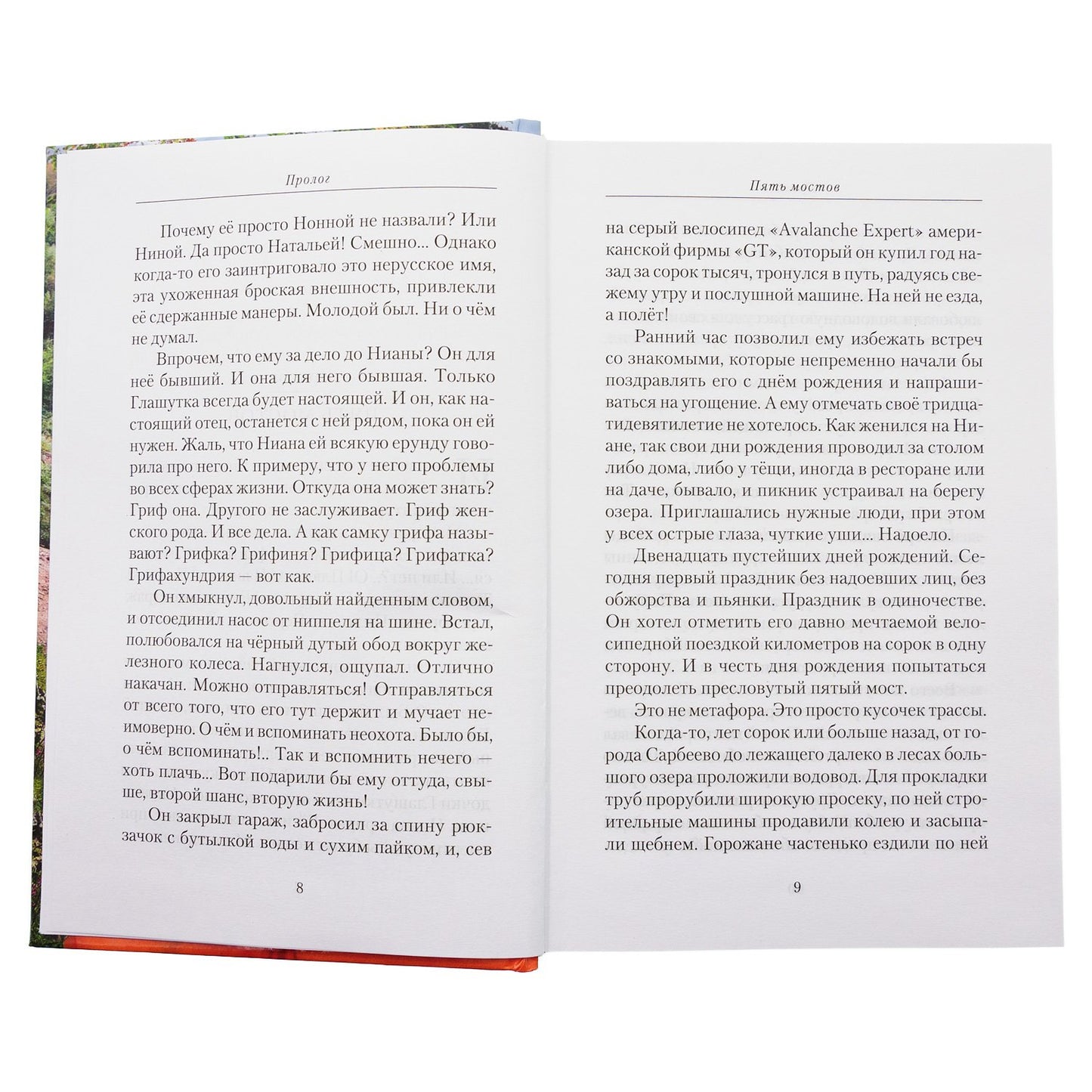 Пятый мост: роман