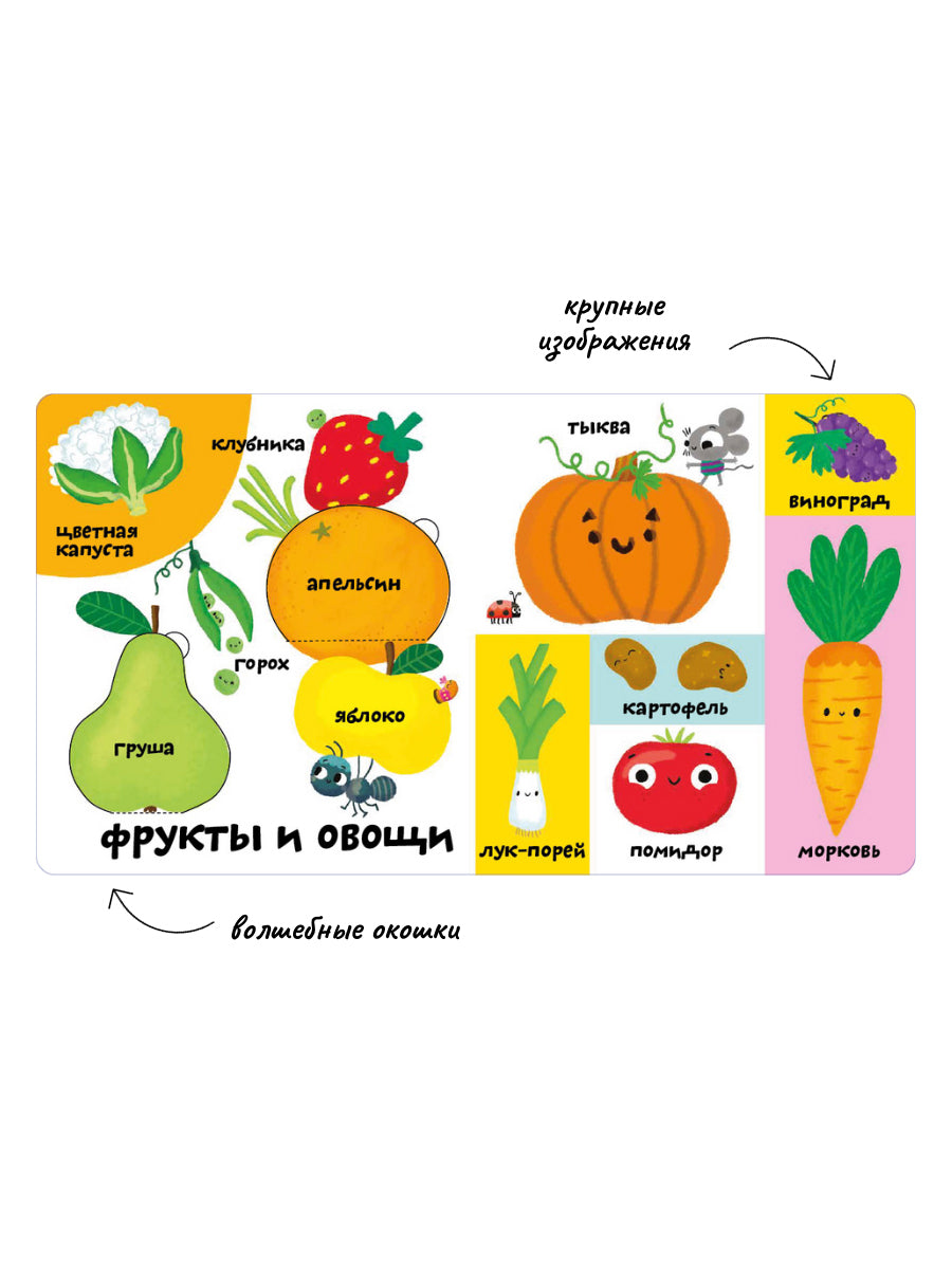 Мои первые 100 слов с большими окошками. Ферма