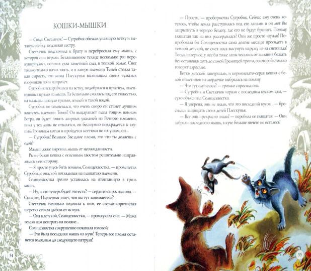 Закон племен