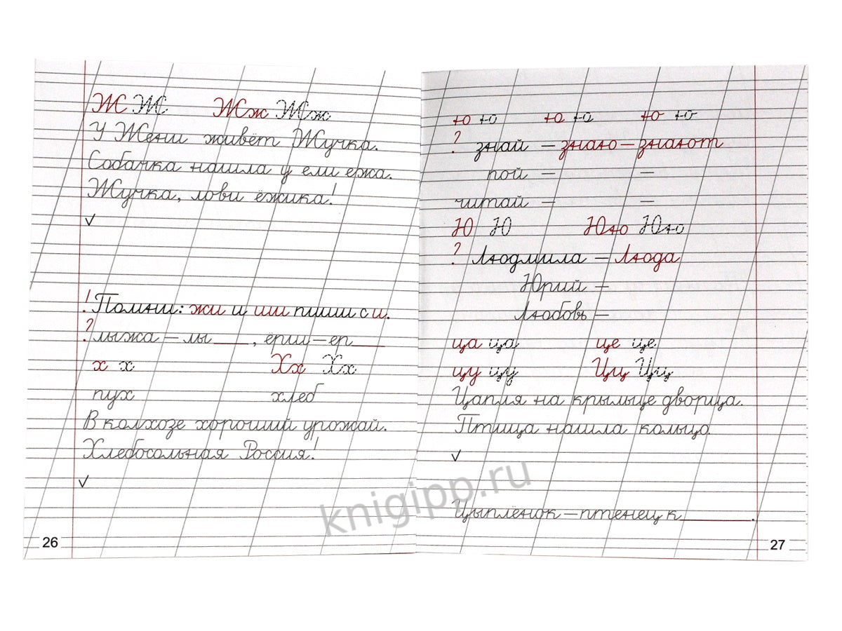 СОВЕТСКИЕ ПРОПИСИ. ПИШЕМ БУКВЫ И СЛОВА