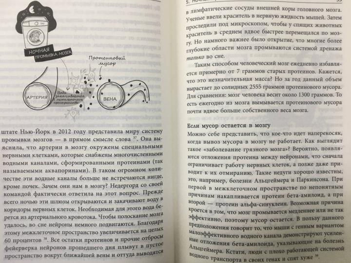 Почему мы спим