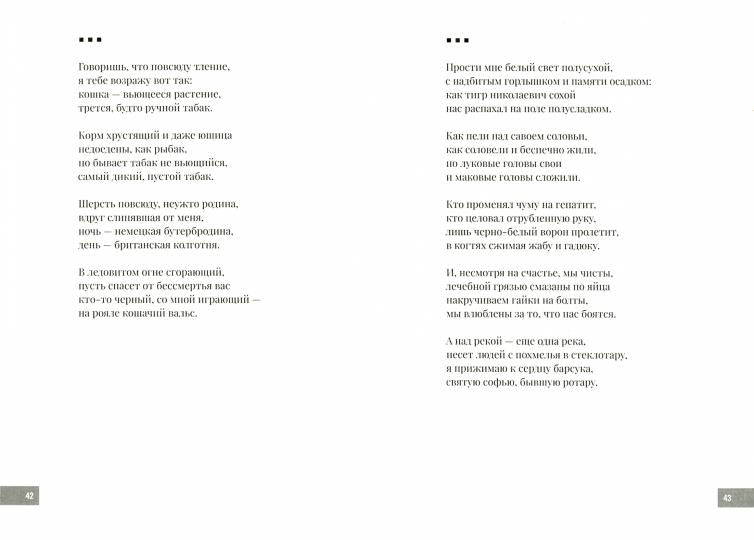 На слонах и черепах