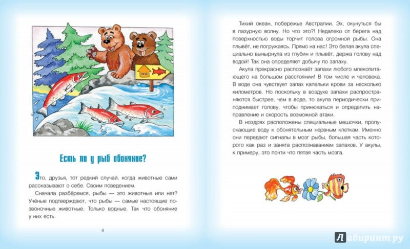 Где у птицы компас. Почемучкины вопросы. Тиханов А., Рудницкая Е.
