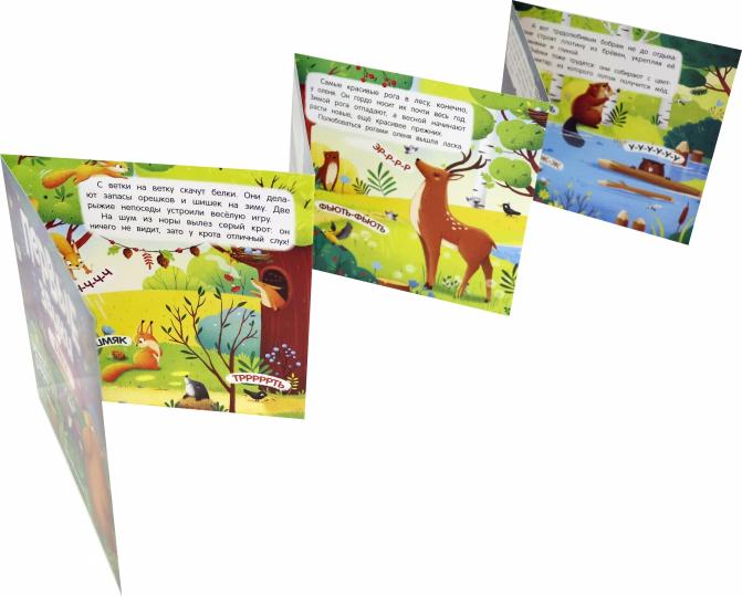В лесу:книжка - гармошка