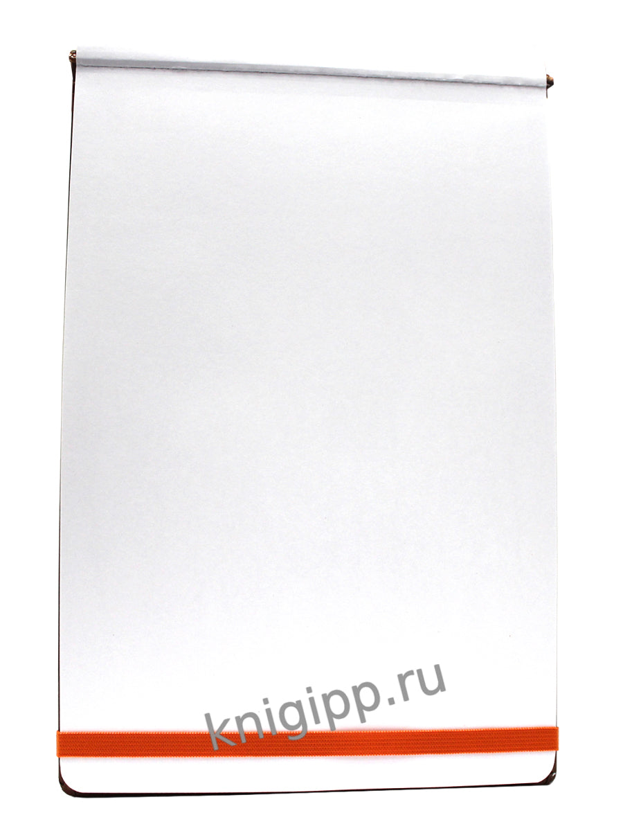 MyArt. АЛЬБОМ ДЛЯ ТВОРЧЕСТВА. ЛЕВ